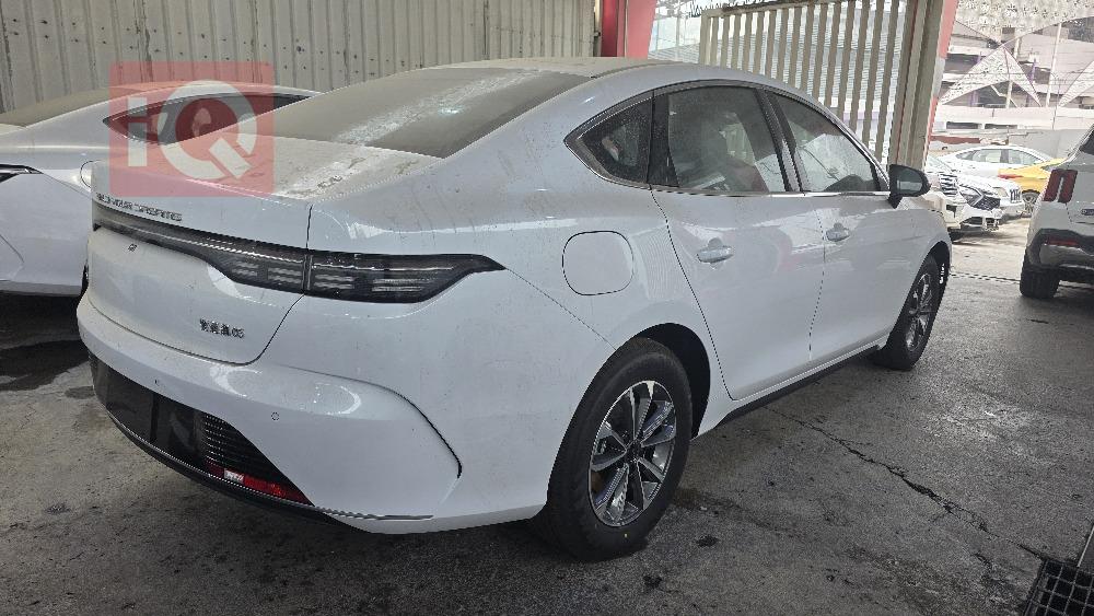 بي واي دي ديستروير 05